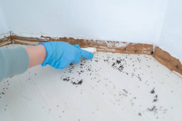 Best Residential Pest Control  in Larned, KS